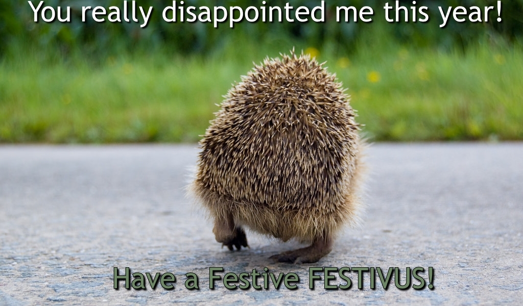 Have a disappointing Festive Festivus Greeting Card