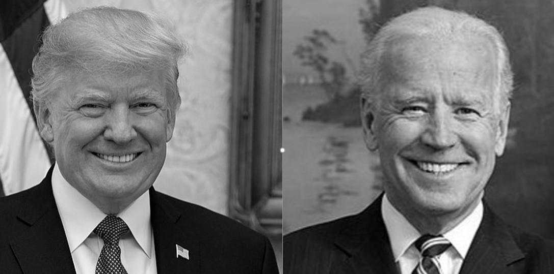 How do people really choose between Trump or Biden?